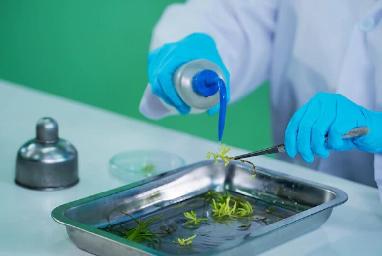 52568648748_54472fc7d5_c PTC đĩa inox