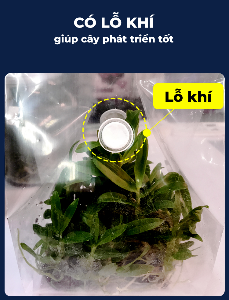 52550958170_dec7dd80fc_o Túi-zip-lỗ-khí