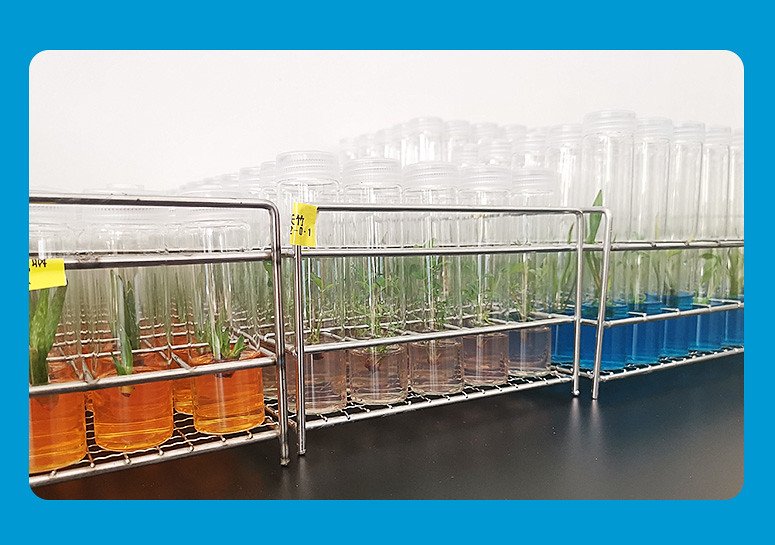 52658101105_f22855e7bc_c Rack ống nghiệm