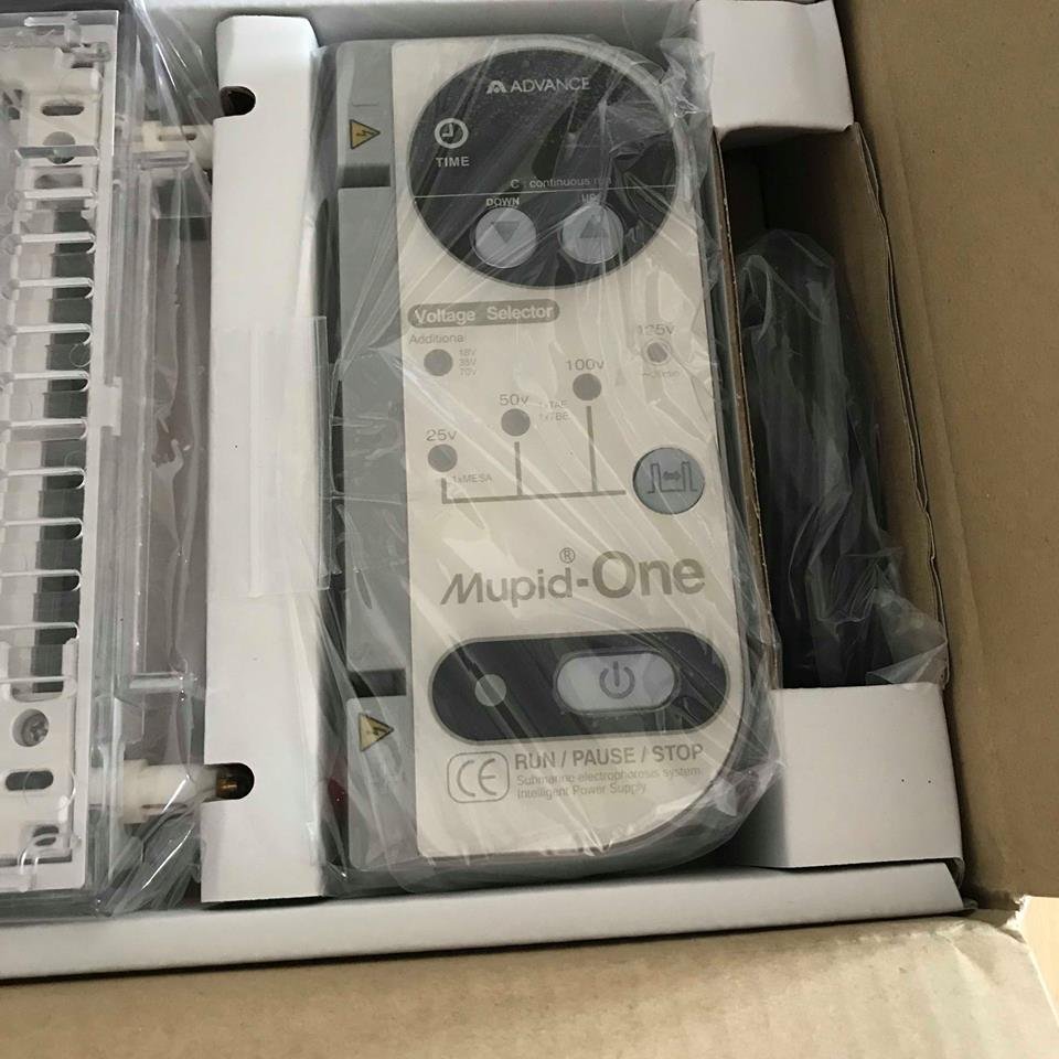 Be1bb99ngue1bb93nmupidone