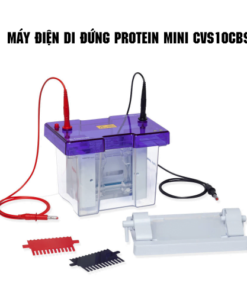 mc3a1y-c491ie1bb87n-di-c491e1bba9ng-protein-mini-cvs10cbs-247x296-1 Máy điện di đứng Protein