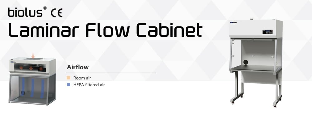 Te1bba7ce1baa5yvc3b4trc3b9ngchchc3a0nque1bb91c3