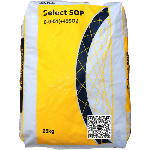 Hóa Chất Kali Sulphate – K2SO4 - Ảnh 2