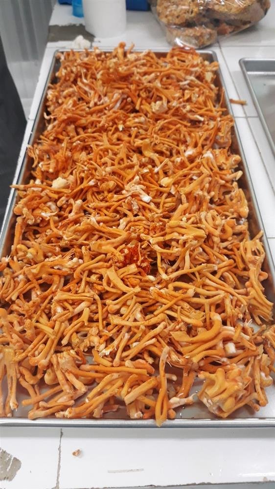 832f462daf23527d0b32