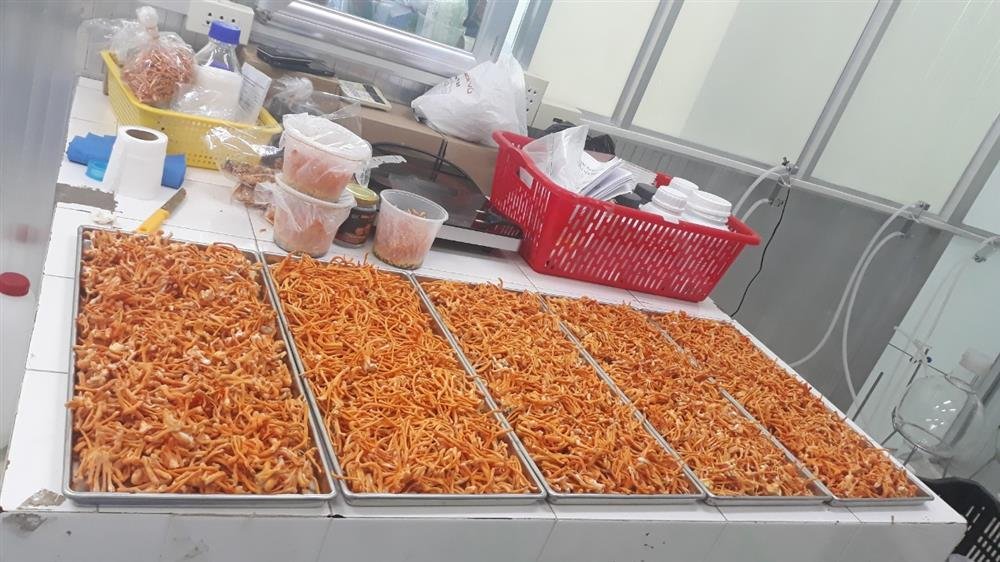 9841b1b25abca7e2fead