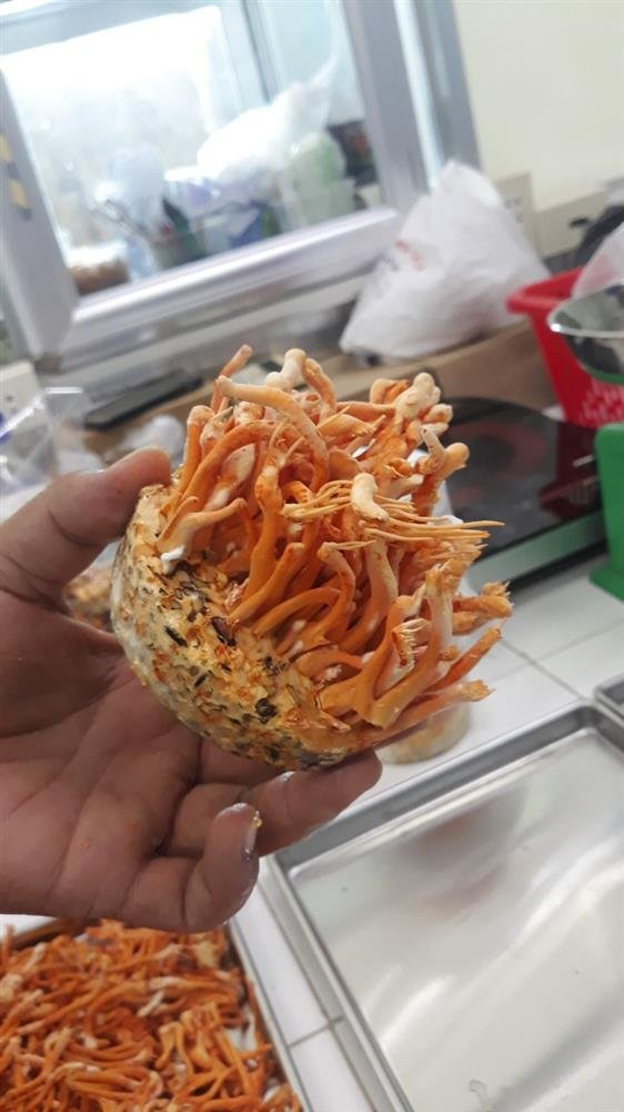 be942ed9c7d73a8963c6