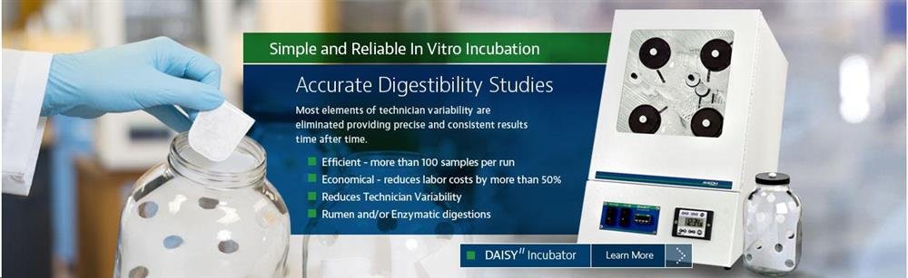 daisry-incubator20d20020h202