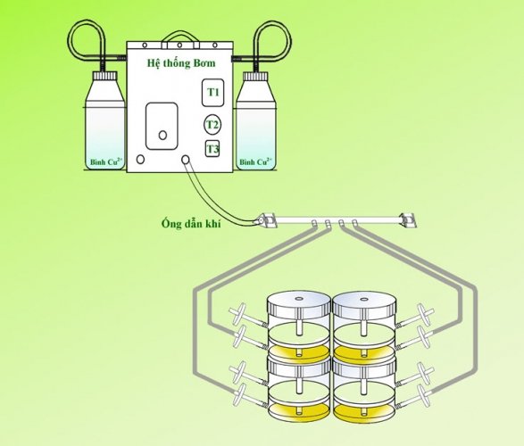 he1bb8720the1bb91ng20nuc3b4i20ce1baa5y20nge1baadp20chc3acm
