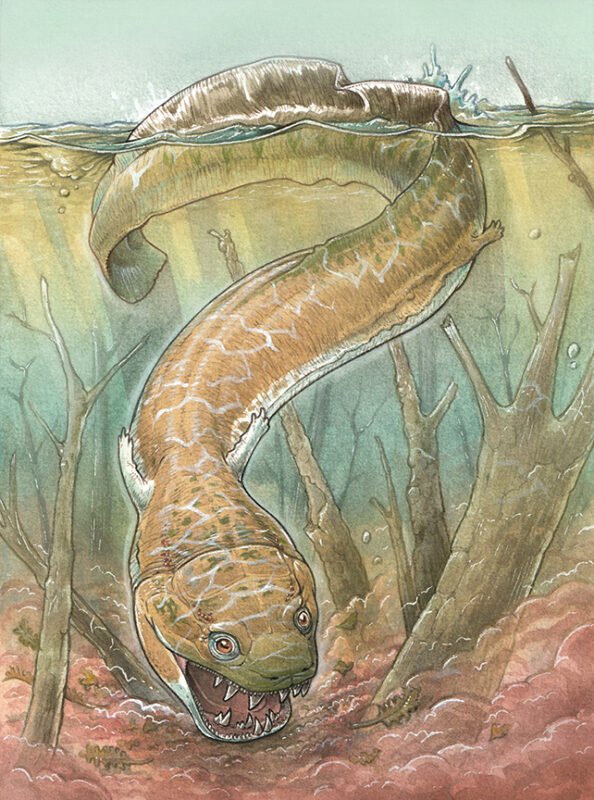 Phát Hiện Quái Vật đầm Lầy Khổng Lồ Cổ đại Hơn Cả Khủng Long Ảnh 1 Lab Gia Trần Hóa Chất Thiết Bị Vật Tư Thiết Kế Thi Công Lab Phát hiện quái vật đầm lầy khổng lồ, cổ đại hơn cả khủng long- Ảnh 1.